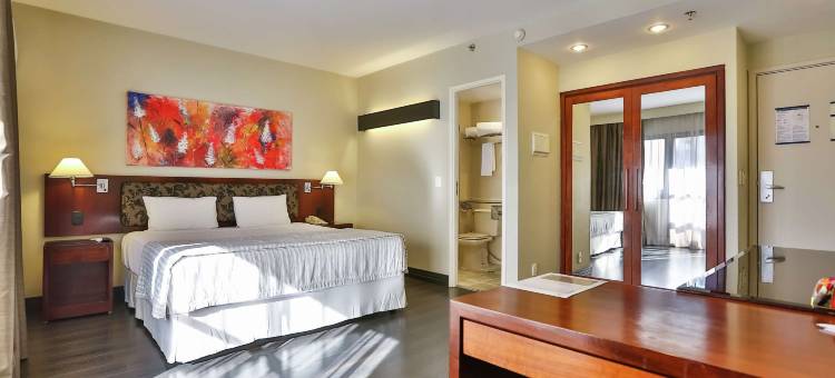 圣保罗伊泰姆希尔顿逸林酒店(Double Tree by Hilton São Paulo Itaim)图片