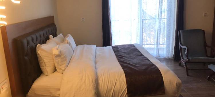 冰山酒店(Icebergs Mussoorie - A Boutique Stay and 24 Hrs Roof Top Cafe)图片