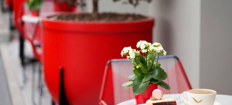 伊斯坦布尔亚洲机场瑞享酒店(Movenpick Hotel Istanbul Asia Airport)图片