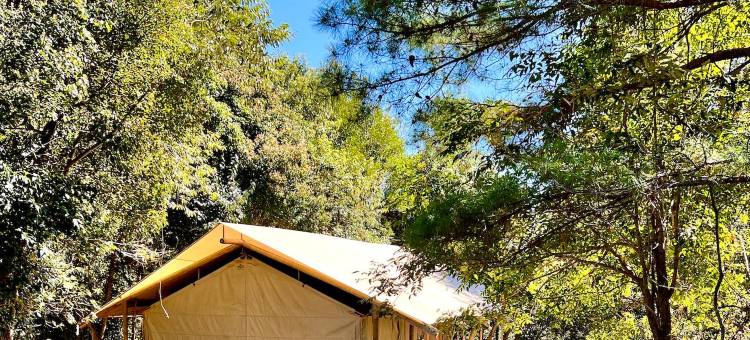 丝绸馆酒店(Silk Pavilions Glamping)图片