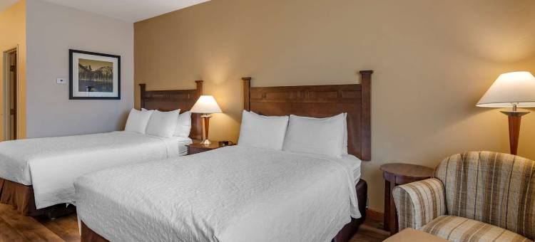 沙漠贝斯特韦斯特酒店(Best Western Desert Inn)图片