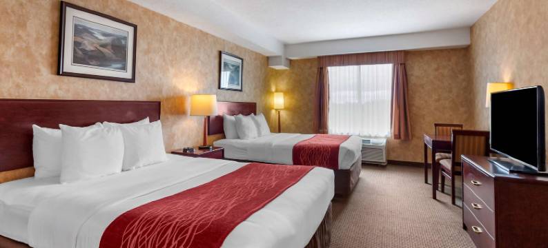 鲟鱼瀑布舒适酒店(Comfort Inn)图片