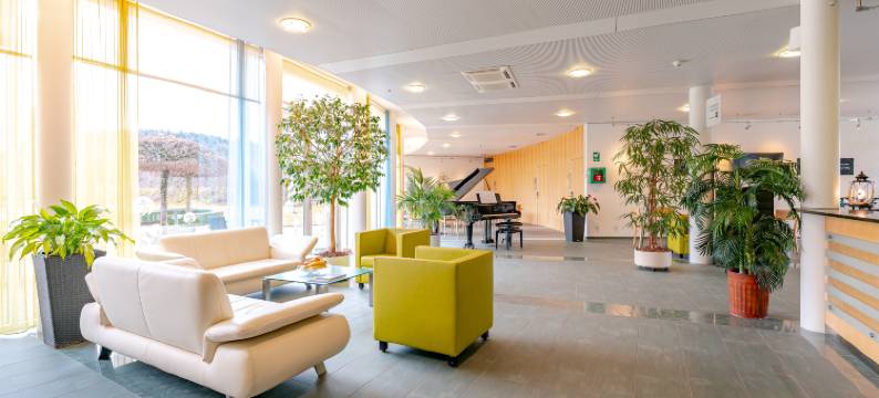 格拉乌霍尔兹酒店(Hotel A1 Grauholz)图片