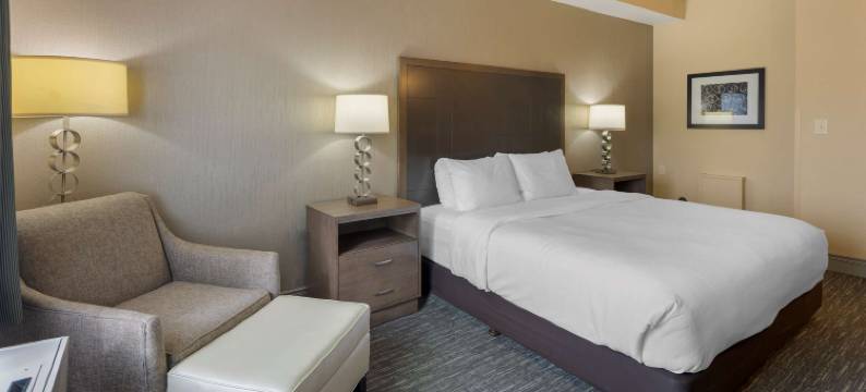 车纳河贝斯特韦斯特优质酒店(Best Western Plus Chena River Lodge)图片