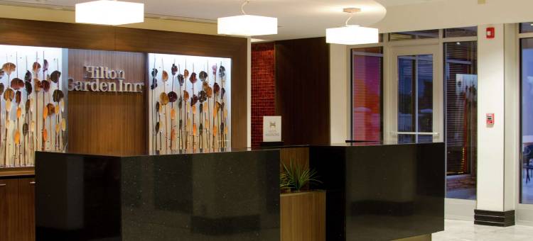 图斯特拉-古铁雷斯希尔顿花园酒店(Hilton Garden Inn Tuxtla Gutierrez)图片