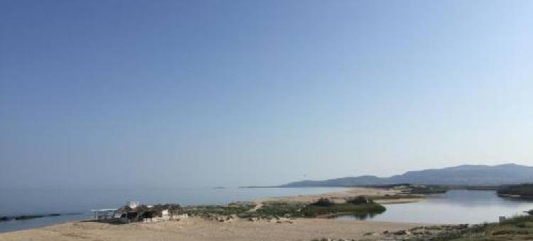 Ginepro Family图片