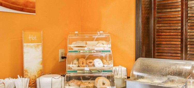 莫比尔大学附近凯艺酒店(Quality Inn Near University of Mobile)图片