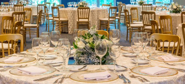 瓜达拉哈拉普罗维登西亚NH典藏酒店(NH Collection Guadalajara Providencia)图片