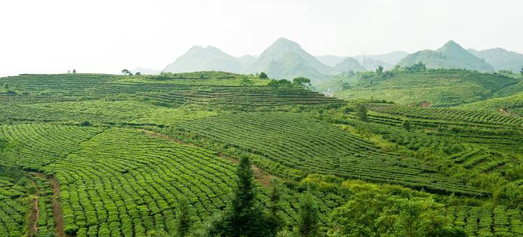 孟清黎洲酒店(Muong Thanh Lai Chau Hotel)图片