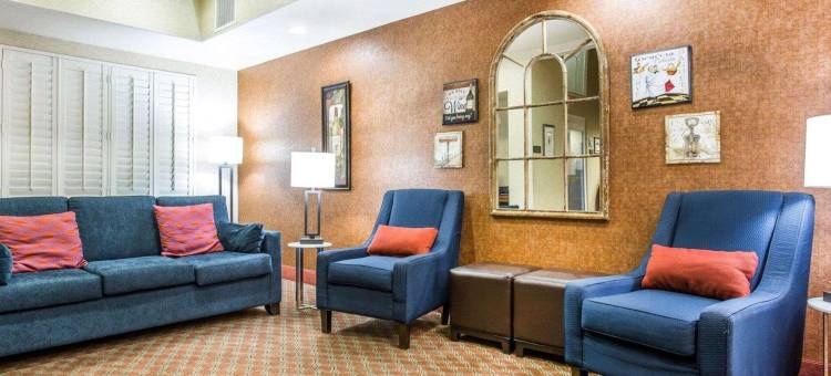 戈尔特-北洛迪舒适酒店(Comfort Inn & Suites Galt - Lodi North)图片