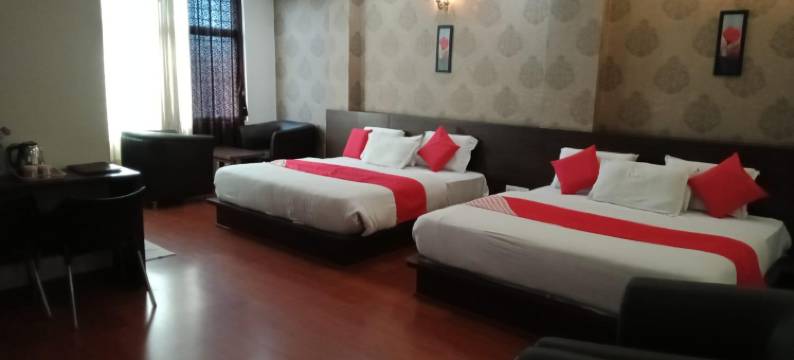 萨曼维国际酒店(Hotel Samanvi International)图片