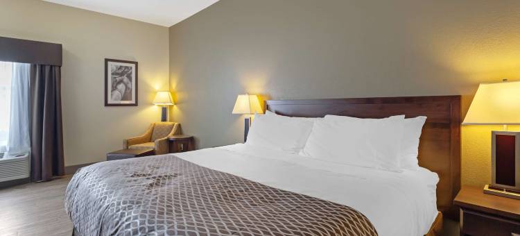 高路贝斯特韦斯特酒店(Best Western High Road Inn)图片