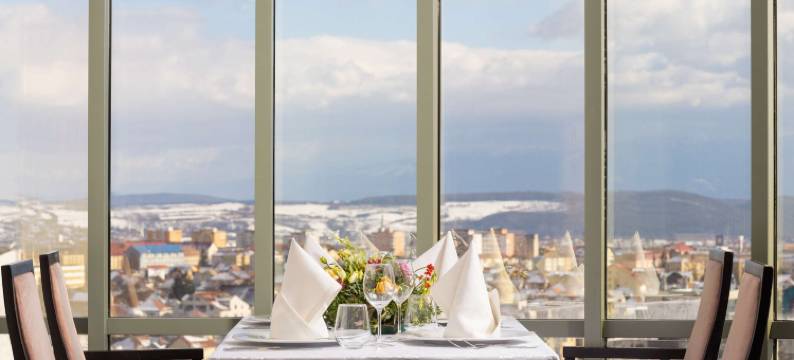 锡比乌阿娜塔金色郁金香酒店(Golden Tulip Ana Tower Sibiu)图片