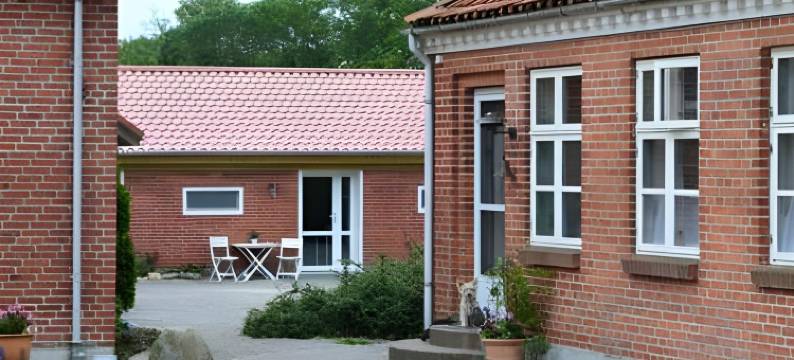 提斯图民宿(Bed & Breakfast Tistrup)图片