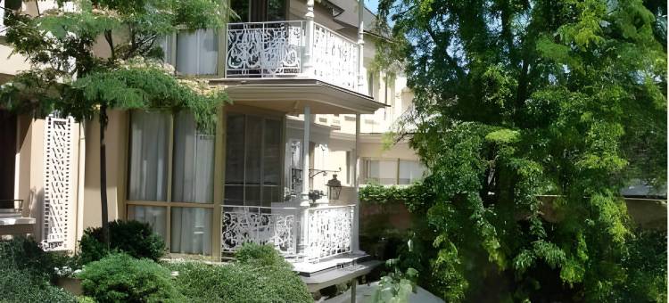 金狮大酒店(Grand Hôtel du Lion d'Or)图片