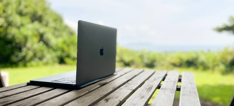 野野屋(Nonoya)图片