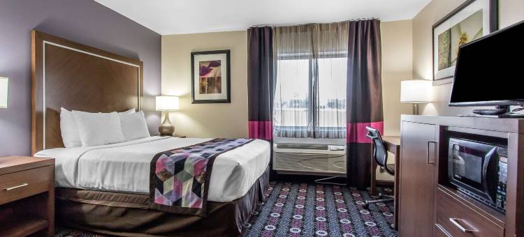 中城舒适酒店(Comfort Inn Midtown)图片