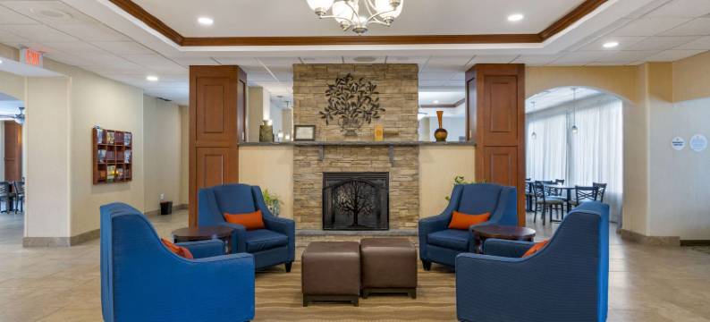 沃特敦舒适套房酒店-千岛(Comfort Inn & Suites Watertown - 1000 Islands)图片