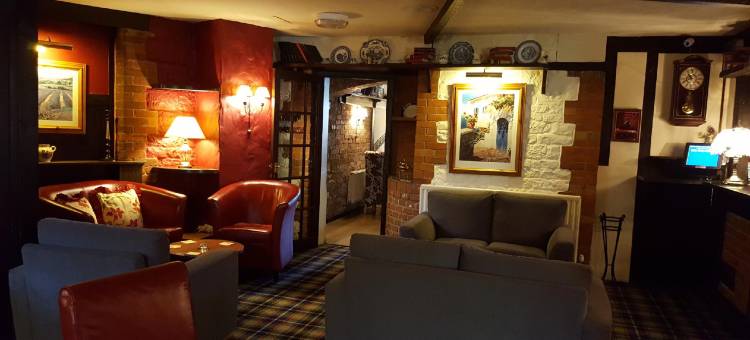 OYO 胡桃树(OYO The Walnut Tree)图片