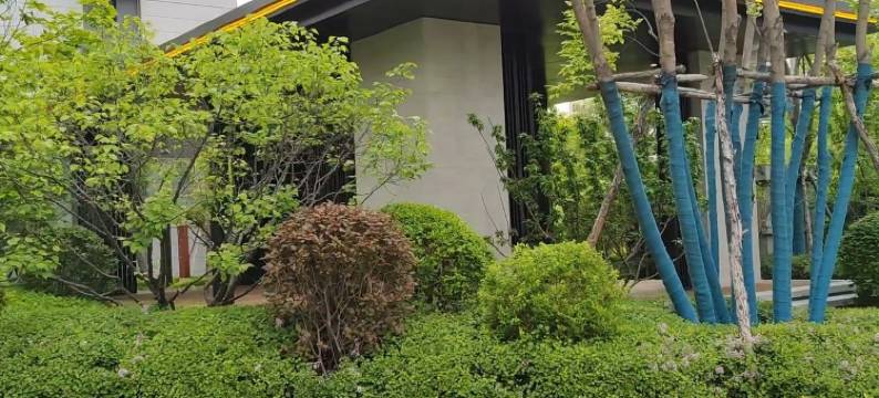 瑾誉公寓(东北亚大街分店)图片