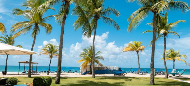 佛得岛海滩万怡度假酒店(Courtyard Isla Verde Beach Resort)图片