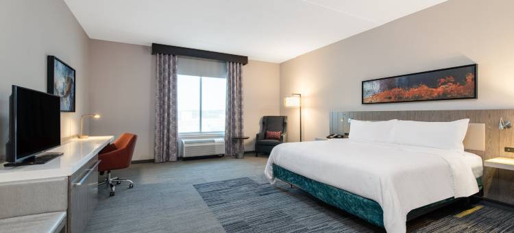 宾夕法尼亚匹兹堡区海狸谷希尔顿花园酒店(Hilton Garden Inn Pittsburgh Area /Beaver Valley)图片