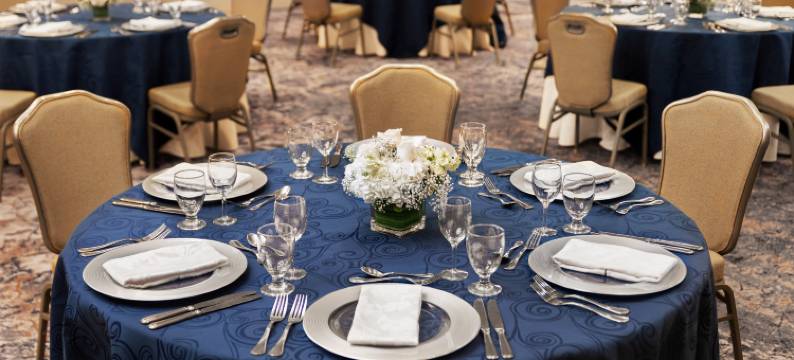 麦克莱恩泰森希尔顿逸林酒店(DoubleTree by Hilton McLean Tysons)图片