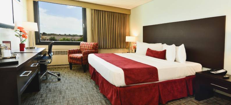 尤马萨酒店(Hotel UMass)图片