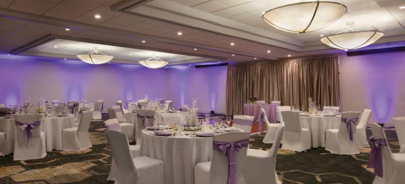 里士满希尔顿安泊酒店(Embassy Suites by Hilton Richmond)图片