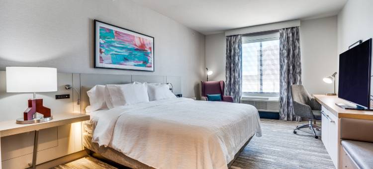 希尔顿花园酒店 北达拉斯中央高速公路(Hilton Garden Inn North Dallas Central Expy)图片