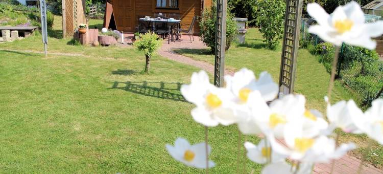 Modern, bright apartment in Waldeck - Höringhausen图片