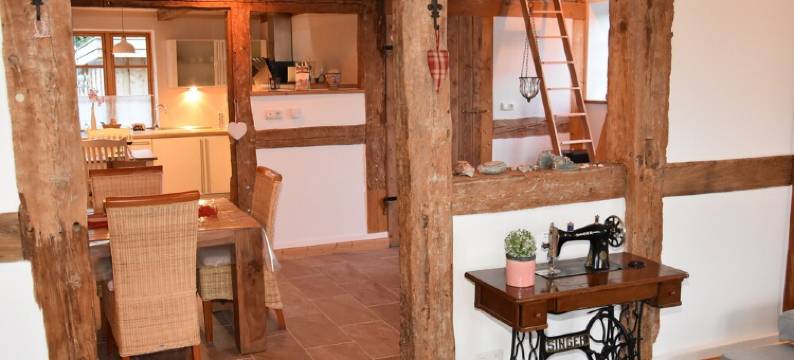 Dannau Reetkate图片