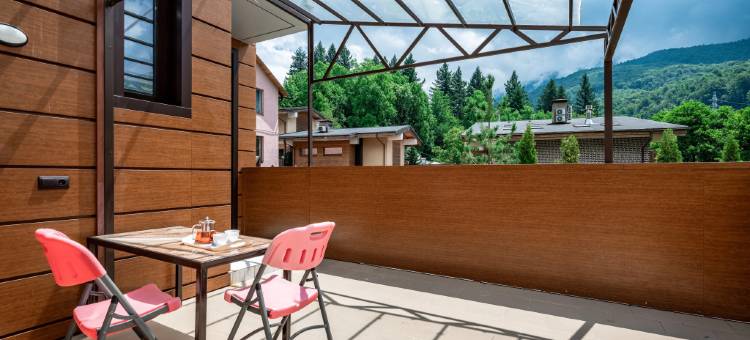 Vals Tsvetov Redance Hotel图片