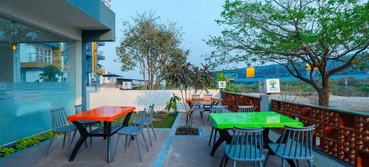 Treebo the Tree图片