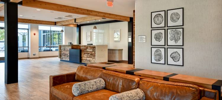 杰克逊希尔顿花园酒店(Hilton Garden Inn Jackson)图片
