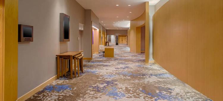 哈德逊河畔泽西市凯悦酒店(Hyatt Regency Jersey City on the Hudson)图片