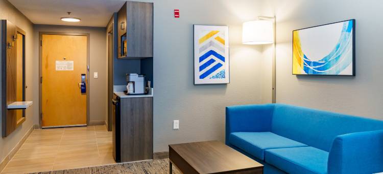 智选假日套房酒店罗利西南北卡罗来纳州(Holiday Inn Express & Suites RALEIGH SW NC STATE by IHG)图片