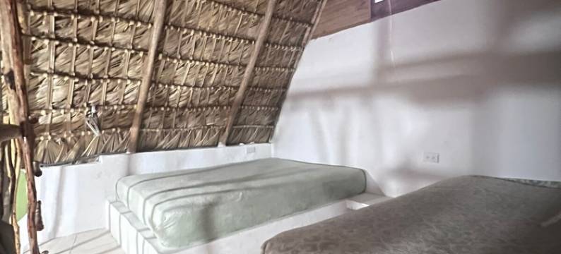 圣法比尼蓝色海滩生态酒店(Blue Beach Eco-Hotel by Sanfabini)图片