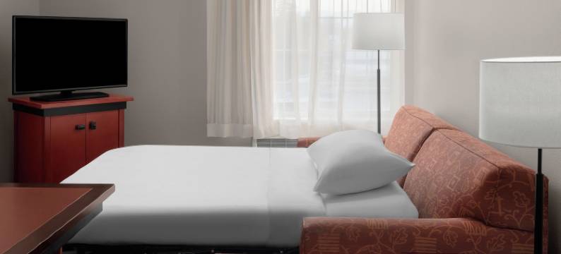 云杉登陆长住套房酒店贝尔维尤(Larkspur Landing Extended Stay Suites Bellevue)图片