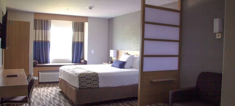 杰克森维尔勒琼营麦客达温德姆酒店(Microtel Inn & Suites by Wyndham Camp Lejeune/Jacksonville)图片