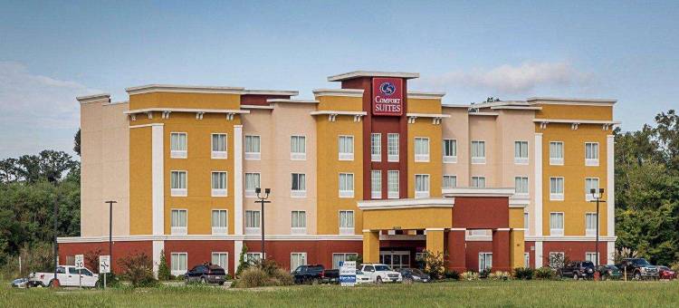 舒适套房酒店 - 近丹吉尔奥特莱斯(Comfort Suites Near Tanger Outlet Mall)图片