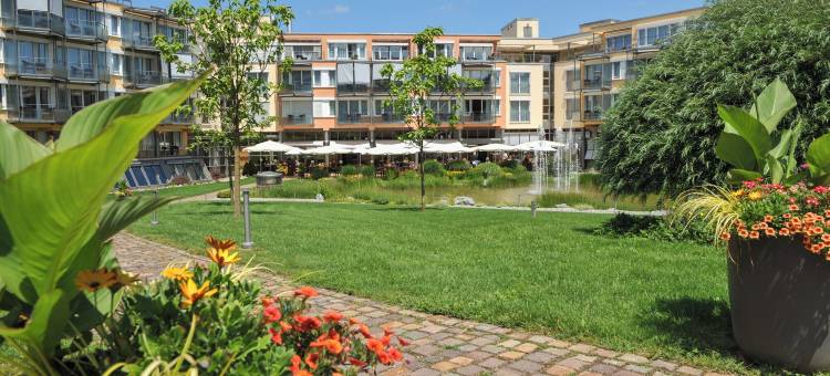 巴德组尔萨克公园酒店(Dorint Parkhotel Bad Zurzach)图片