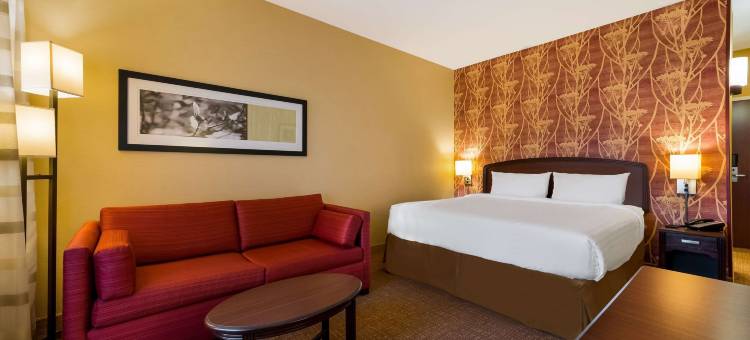 底特律-诺维索尼斯塔精选酒店(Sonesta Select Detroit Novi)图片