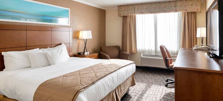 底特律大都会机场克拉丽奥酒店(Clarion Hotel Detroit Metro Airport)图片