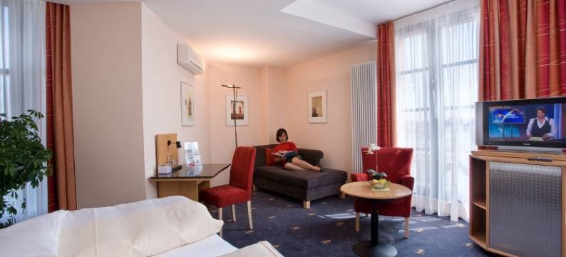 塞热西恩托尔酒店(Hotel Theresientor)图片