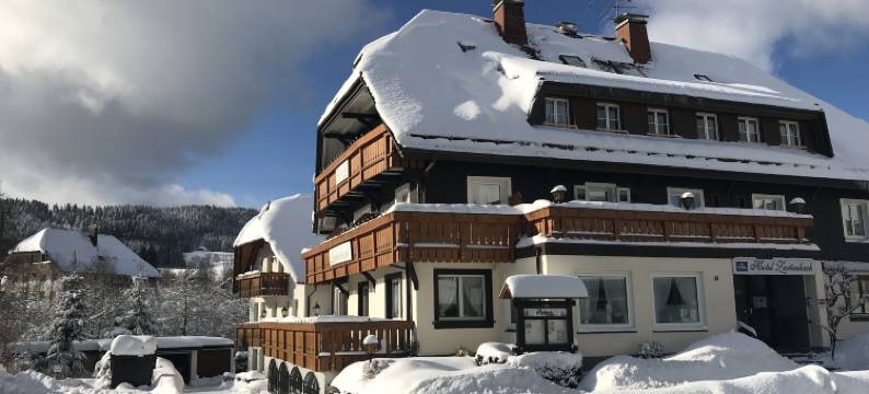 查藤巴赫民宿酒店(Hotel Zartenbach)图片