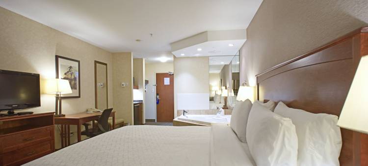 智选假日套房酒店埃德蒙顿北(Holiday Inn Express & Suites Edmonton North)图片
