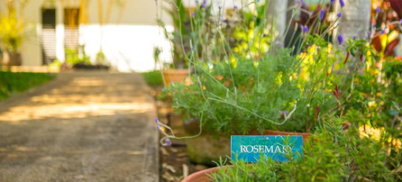 Heated Pool and Tennis Courts - Gorgeous Ocean View Retreat图片