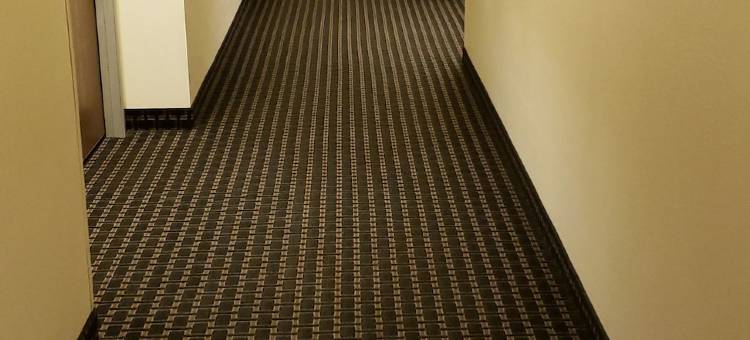 温莎速8酒店(Super 8 by Wyndham Windsor)图片