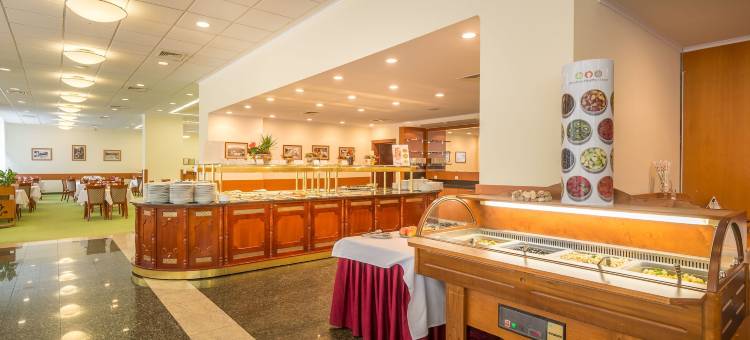 恩萨纳索瓦塔酒店(Ensana Sovata)图片